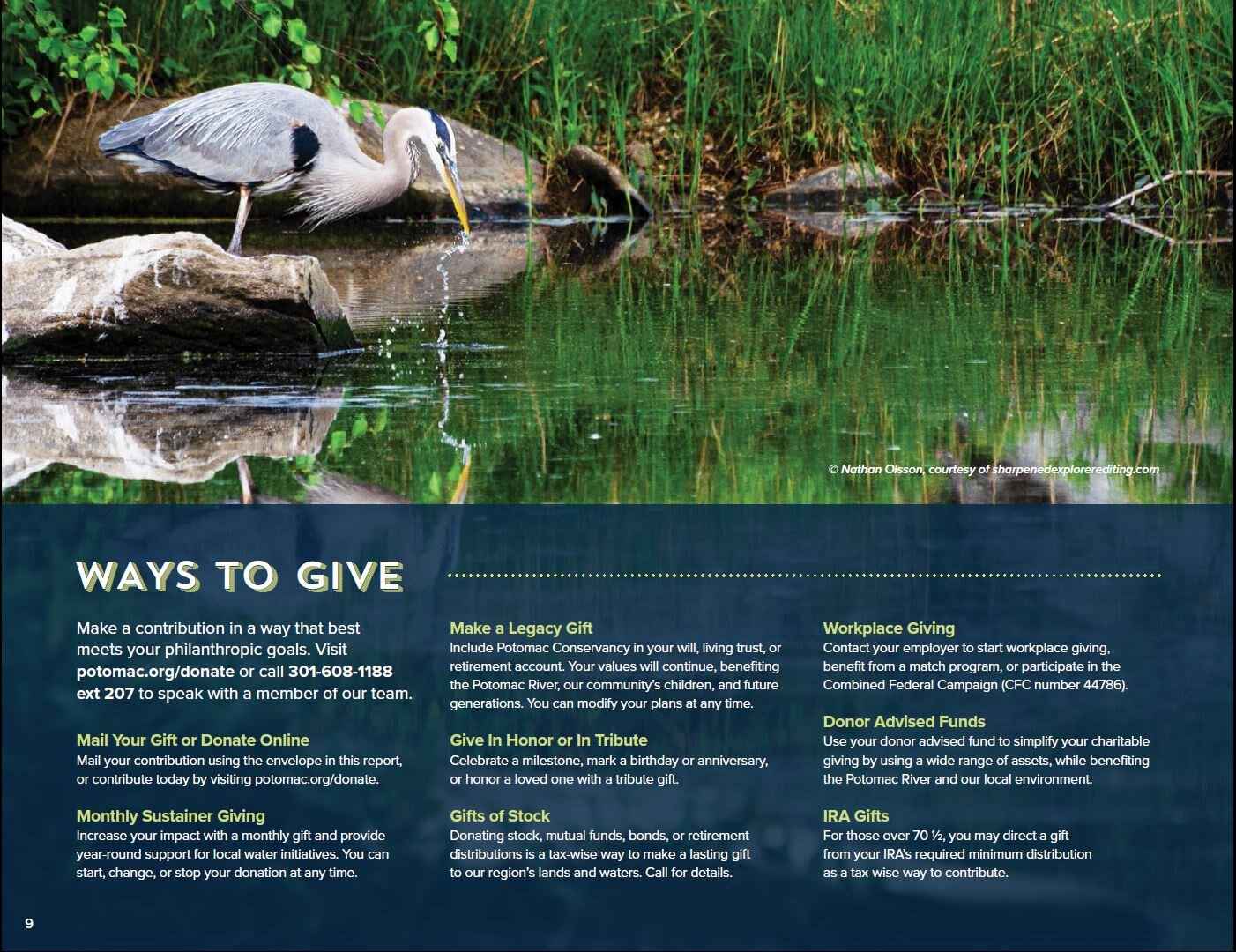 Potomac Conservancy Potomac River Annual Report