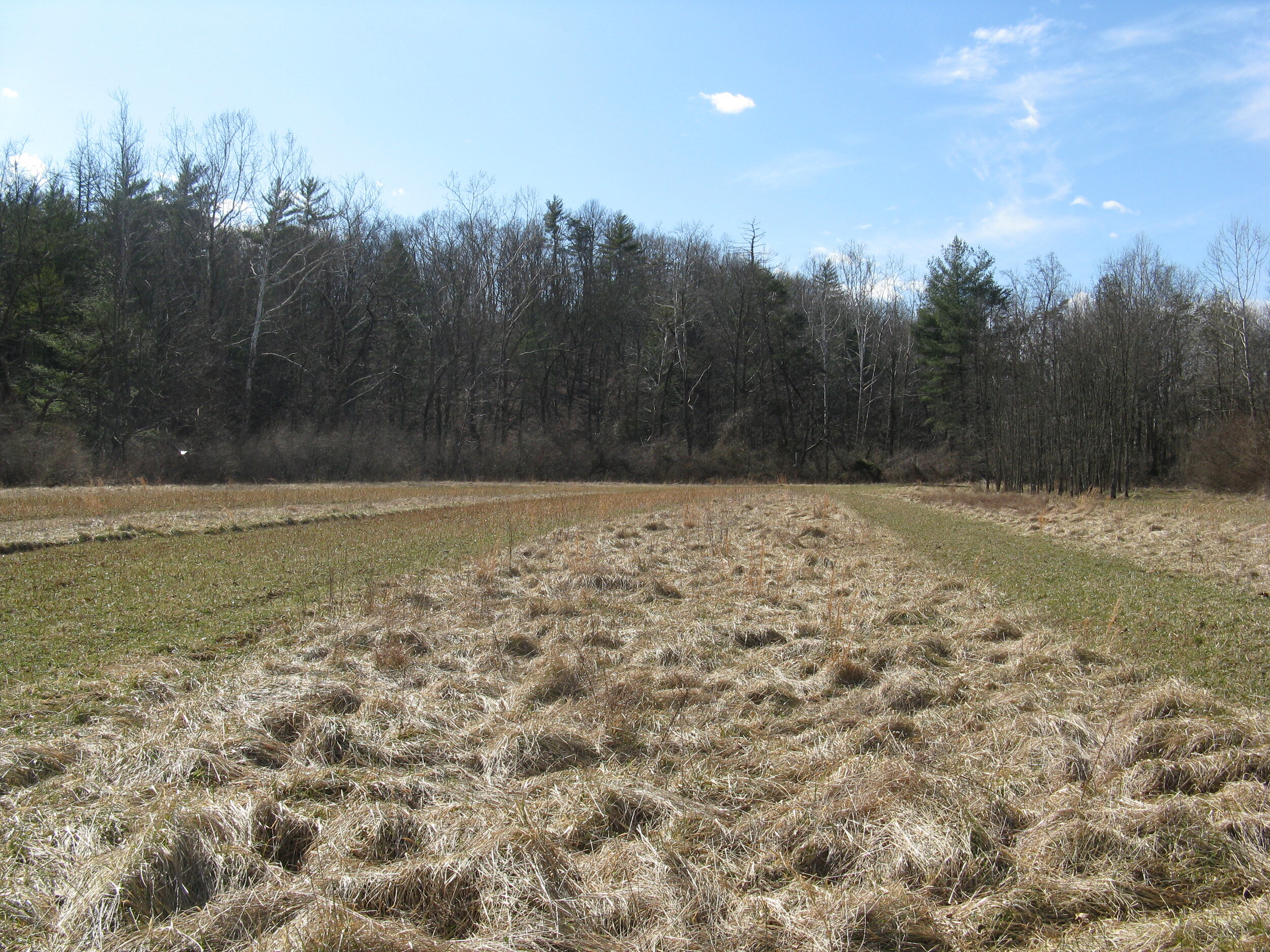 gavitt property.jpg