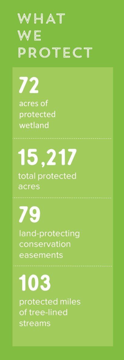 lands+stats.jpg