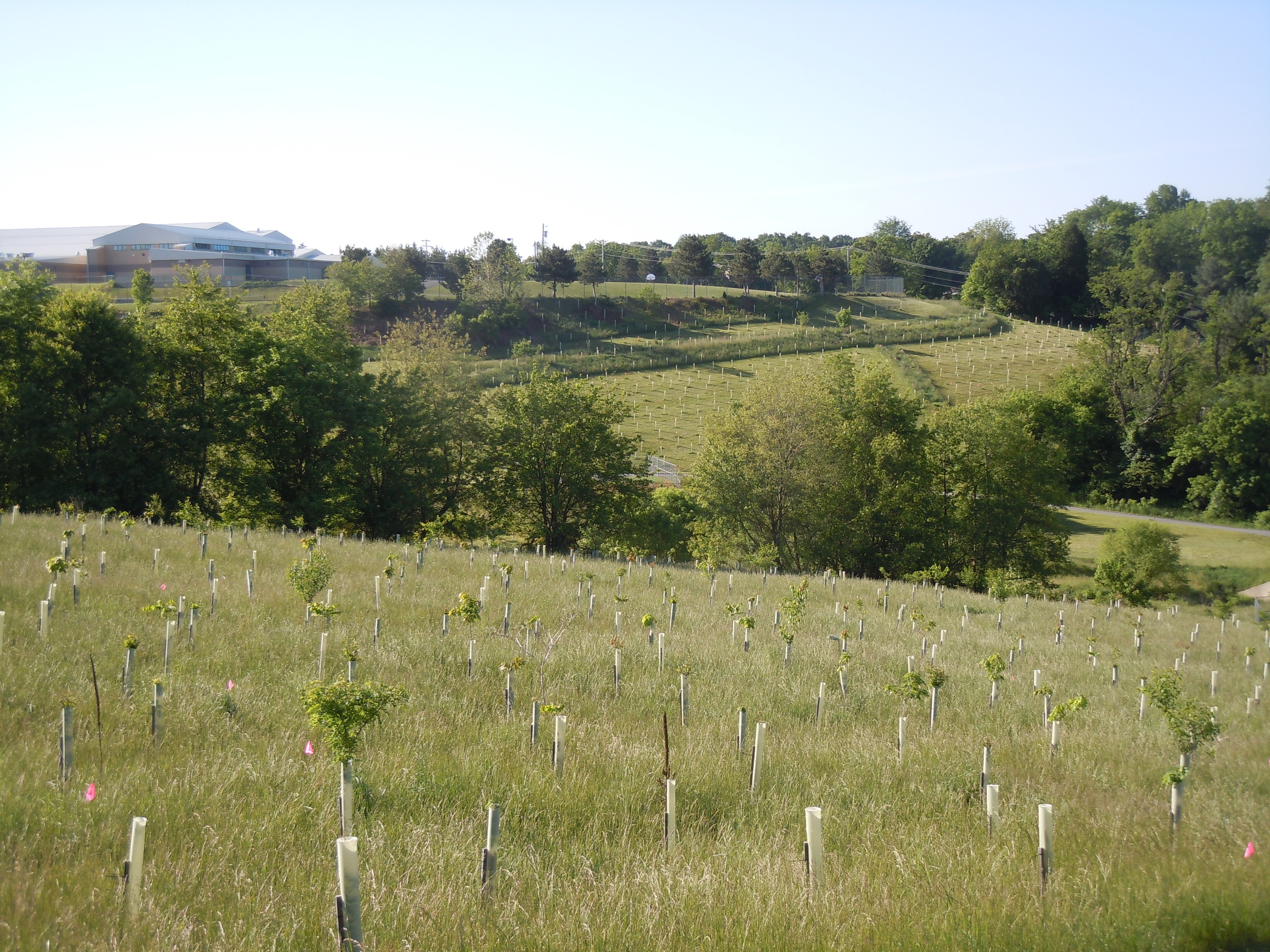 Spring 2012.JPG