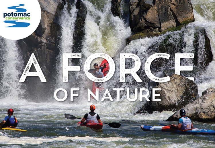 Potomac Conservancy Annual Report