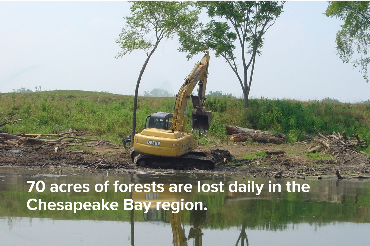 Forest lost stat.PNG