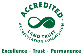 ltac_seal_values_green.png